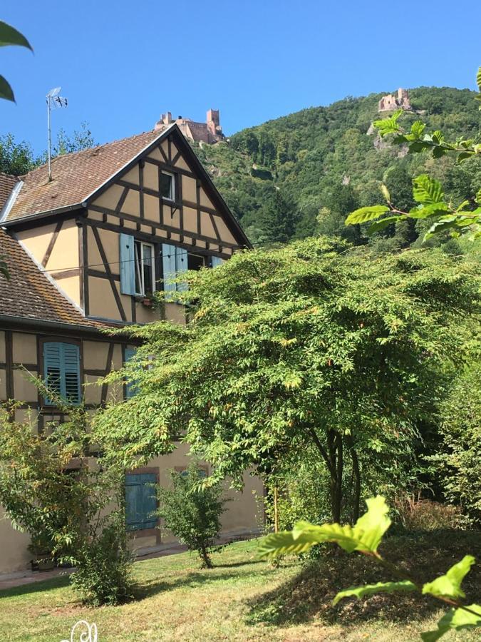 Le Gite Du Moulin Ribeauvillé Exterior foto